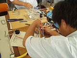 作業の様子