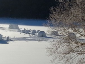 20130225_073132