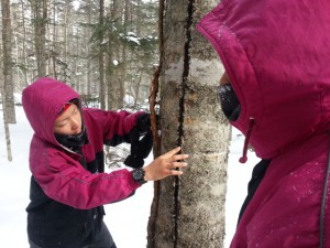 20130226_094751