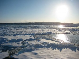 IMG_0020-1