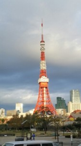 wpid-20141212_073618.jpg