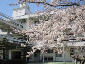 IMG_6958s