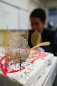 GR004452_R