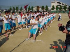 体育祭の様子 その2 体育祭。一生懸命に綱を引いている写真