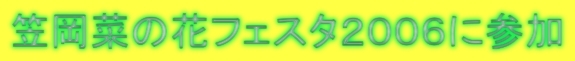 }؂̉ԃtFX^QOOUɎQ