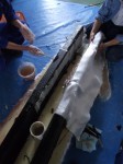 補強剤にクロス貼り